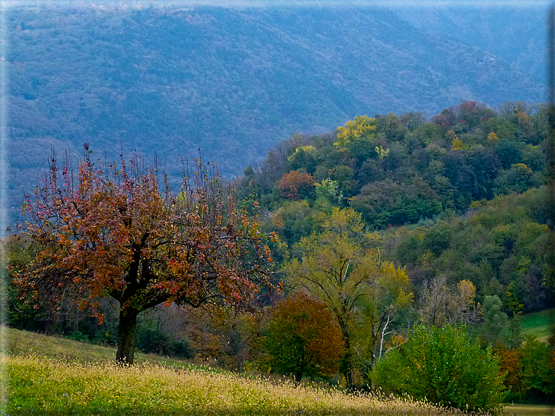 foto Paesaggi Autunnali